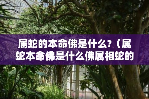 属蛇的本命佛是什么?（属蛇本命佛是什么佛属相蛇的本命佛是什么）