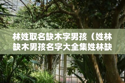 林姓取名缺木字男孩（姓林缺木男孩名字大全集姓林缺木的男孩名字霸气）