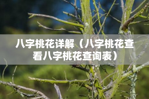 八字桃花详解（八字桃花查看八字桃花查询表）