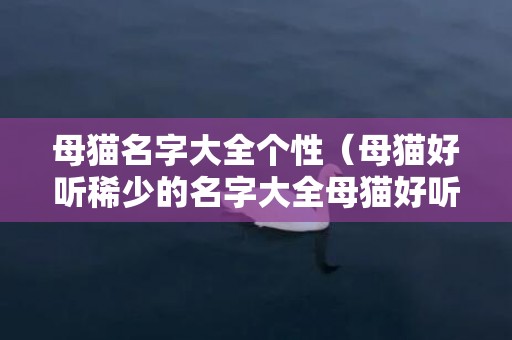 母猫名字大全个性（母猫好听稀少的名字大全母猫好听稀少的名字大全可爱）