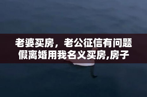 老婆买房，老公征信有问题假离婚用我名义买房,房子归谁所有