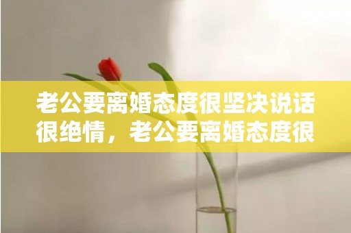 老公要离婚态度很坚决说话很绝情，老公要离婚态度很坚决该怎么挽回没有出轨