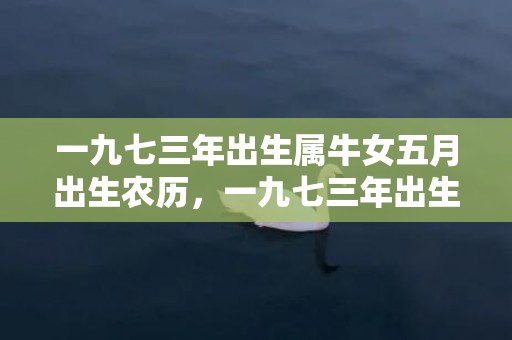 一九七三年出生属牛女五月出生农历，一九七三年出生属牛2021年本命年好吗 不喜争端与人为善