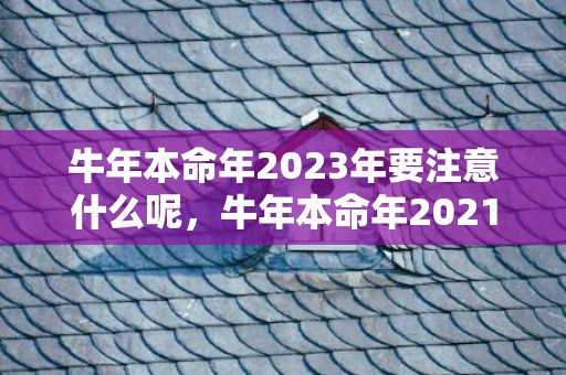 牛年本命年2023年要注意什么呢，牛年本命年2021年几月出生的男孩最好，农历七月十月出生好
