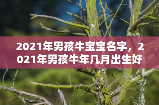 2021年男孩牛宝宝名字，2021年男孩牛年几月出生好 农历九月生一生顺利