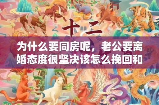 为什么要同房呢，老公要离婚态度很坚决该怎么挽回和平离婚要财产分割吗