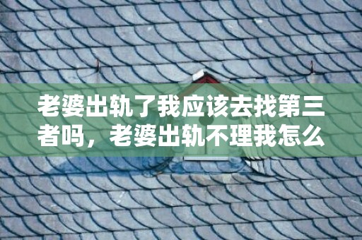老婆出轨了我应该去找第三者吗，老婆出轨不理我怎么办