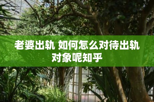 老婆出轨 如何怎么对待出轨对象呢知乎