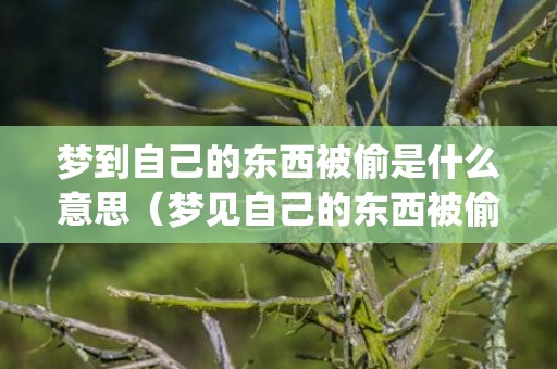 梦到自己的东西被偷是什么意思（梦见自己的东西被偷是什么意思我梦见自己的东西被偷了_卦...）