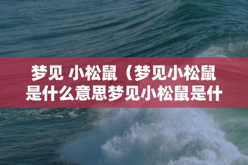 梦见 小松鼠（梦见小松鼠是什么意思梦见小松鼠是什么意思啊）