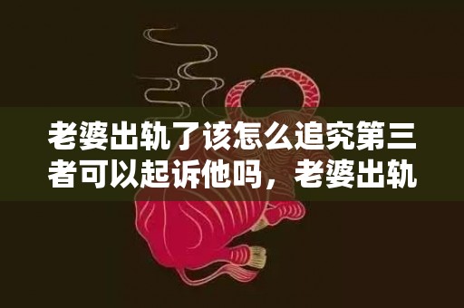 老婆出轨了该怎么追究第三者可以起诉他吗，老婆出轨了该怎么追究第三者重婚罪呢知乎
