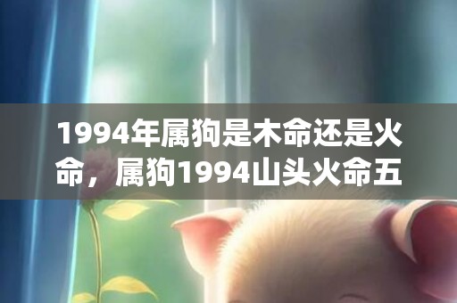 1994年属狗是木命还是火命，属狗1994山头火命五行缺什么(1994年属狗是什么狗)