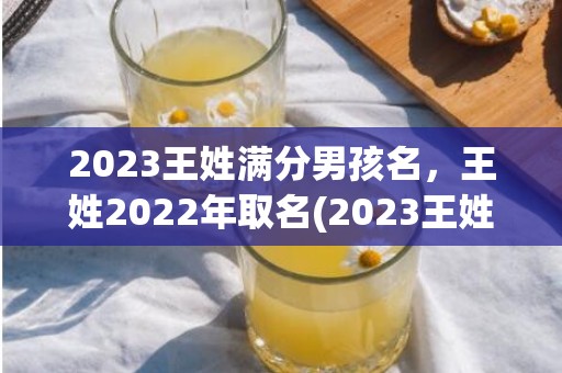 2023王姓满分男孩名，王姓2022年取名(2023王姓满分母亲行郑父亲王)