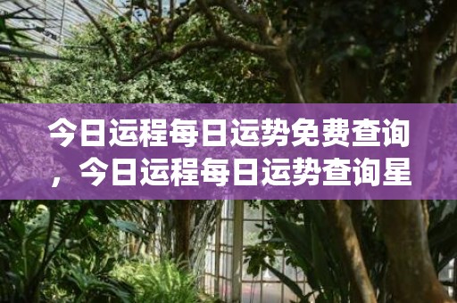 今日运程每日运势免费查询，今日运程每日运势查询星座(今日运程每日运势查询免费)