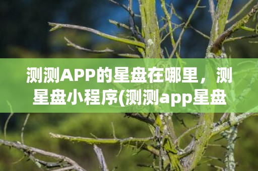 测测APP的星盘在哪里，测星盘小程序(测测app星盘红线什么意思)