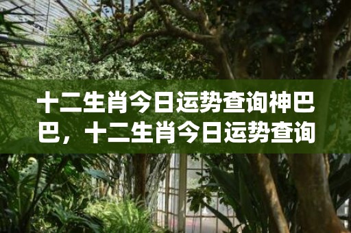 十二生肖今日运势查询神巴巴，十二生肖今日运势查询算命先生(十二生肖今日运势每日运程完整版)