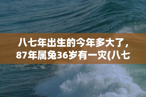 八七年出生的今年多大了，87年属兔36岁有一灾(八七年出生的今年算多少岁)