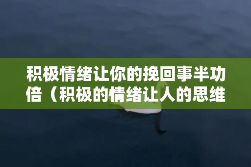 积极情绪让你的挽回事半功倍（积极的情绪让人的思维更开阔）