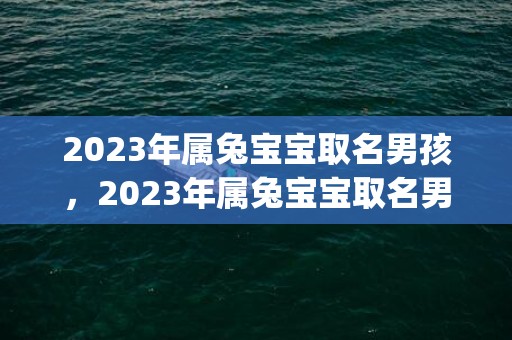2023年属兔宝宝取名男孩，2023年属兔宝宝取名男孩名字(2023年属兔宝宝五行属什么)