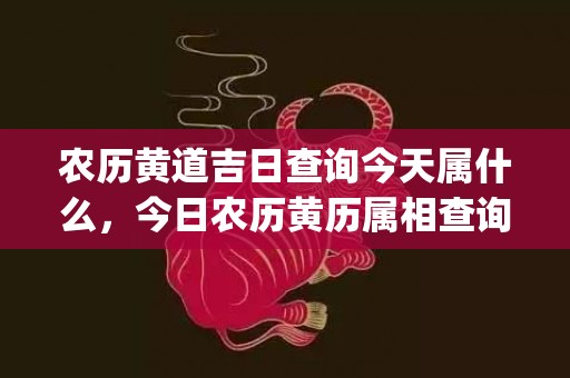 农历黄道吉日查询今天属什么，今日农历黄历属相查询(六月农历黄道吉日查询)