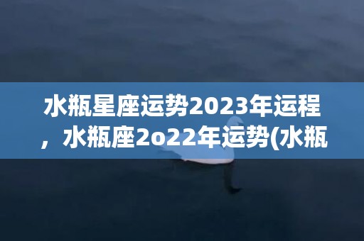 水瓶星座运势2023年运程，水瓶座2o22年运势(水瓶星座运势2022年9月运程)