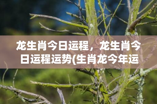 龙生肖今日运程，龙生肖今日运程运势(生肖龙今年运势如何)