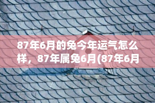 87年6月的兔今年运气怎么样，87年属兔6月(87年6月的兔今年几月份换工作好)