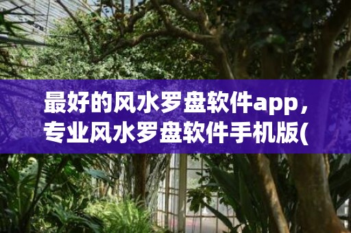 最好的风水罗盘软件app，专业风水罗盘软件手机版(风水罗盘多少层最好)