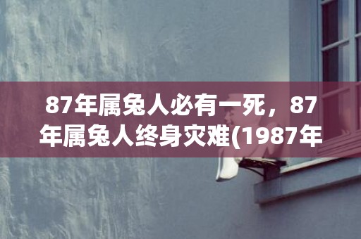 87年属兔人必有一死，87年属兔人终身灾难(1987年属兔36岁运气)