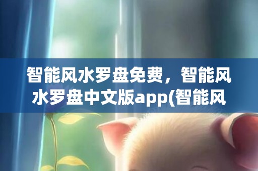智能风水罗盘免费，智能风水罗盘中文版app(智能风水罗盘专业版)