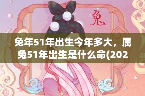 兔年51年出生今年多大，属兔51年出生是什么命(2023年兔11月出生好不好)