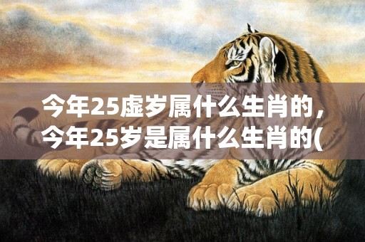 今年25虚岁属什么生肖的，今年25岁是属什么生肖的(今年虚岁29岁属什么的)