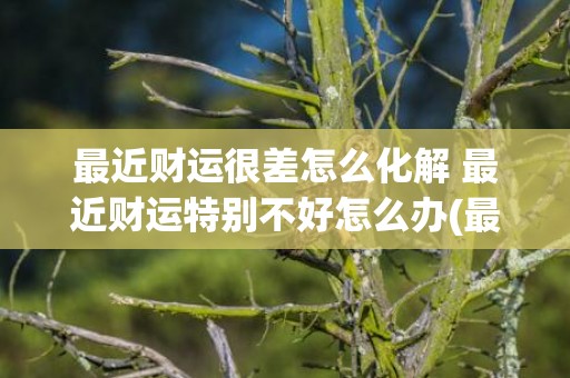 最近财运很差怎么化解 最近财运特别不好怎么办(最近财运差是怎么回事)