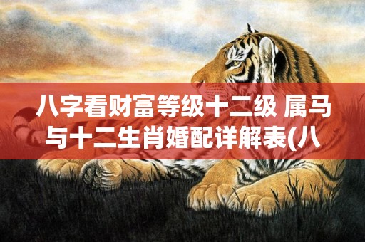 八字看财富等级十二级 属马与十二生肖婚配详解表(八字怎么看财富等级)