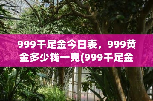 999千足金今日表，999黄金多少钱一克(999千足金今日价格2018)
