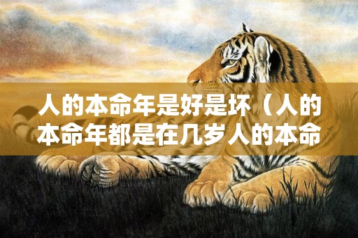 人的本命年是好是坏（人的本命年都是在几岁人的本命年都是多少岁）