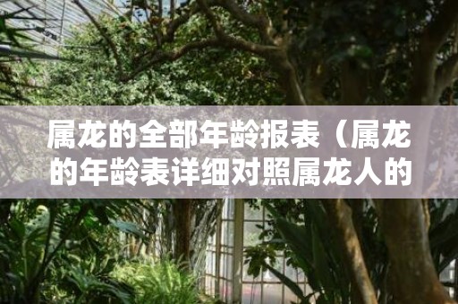 属龙的全部年龄报表（属龙的年龄表详细对照属龙人的年龄对照表）