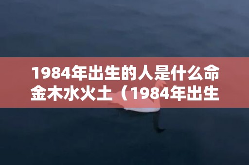 1984年出生的人是什么命金木水火土（1984年出生的人是什么命,是木鼠之命1984年属鼠属金命还是...）