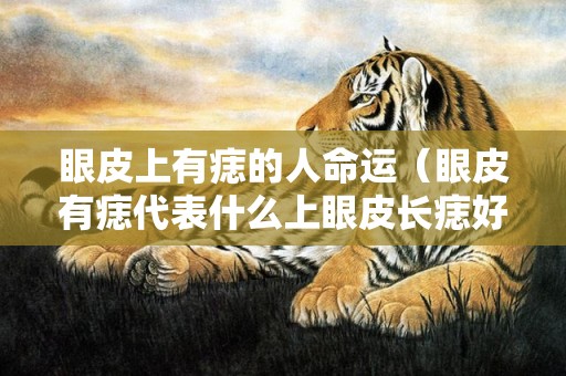 眼皮上有痣的人命运（眼皮有痣代表什么上眼皮长痣好不好）