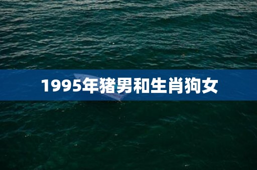 1995年猪男和生肖狗女