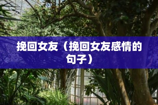 挽回女友（挽回女友感情的句子）