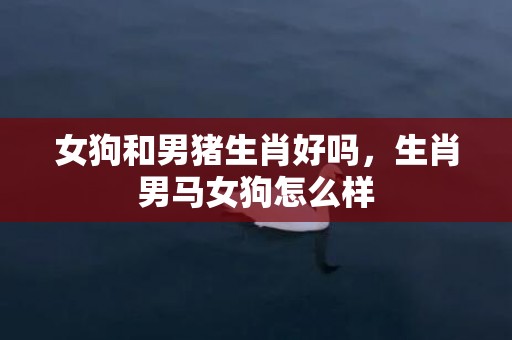 女狗和男猪生肖好吗，生肖男马女狗怎么样