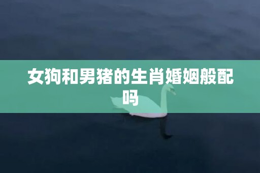 女狗和男猪的生肖婚姻般配吗
