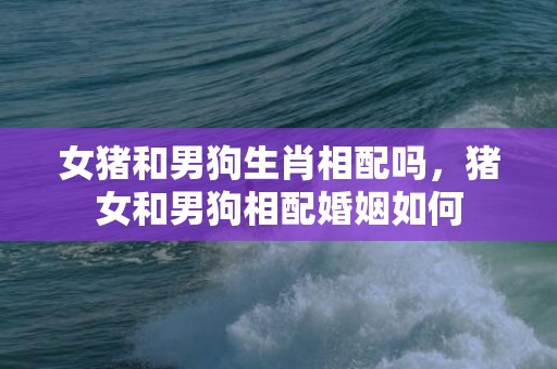 女猪和男狗生肖相配吗，猪女和男狗相配婚姻如何