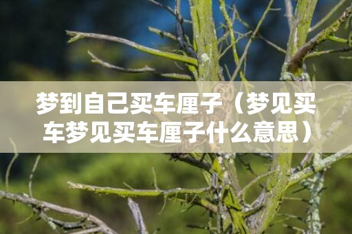 梦到自己买车厘子（梦见买车梦见买车厘子什么意思）