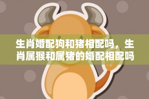 生肖婚配狗和猪相配吗，生肖属猴和属猪的婚配相配吗
