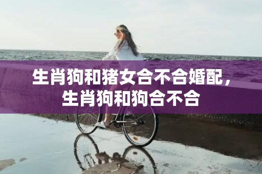 生肖狗和猪女合不合婚配，生肖狗和狗合不合