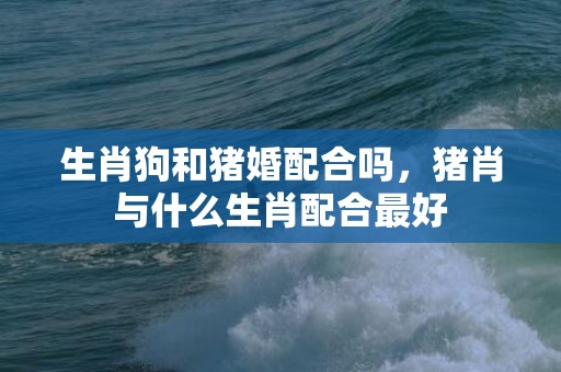 生肖狗和猪婚配合吗，猪肖与什么生肖配合最好