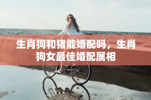 生肖狗和猪能婚配吗，生肖狗女最佳婚配属相