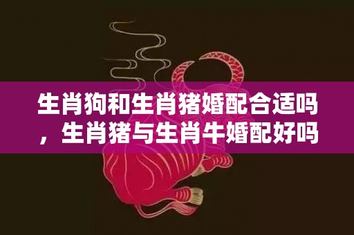 生肖狗和生肖猪婚配合适吗，生肖猪与生肖牛婚配好吗
